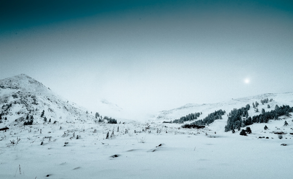 Bosque montaña nieve frío