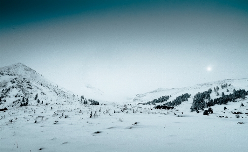 Forest mountain snow cold Photo