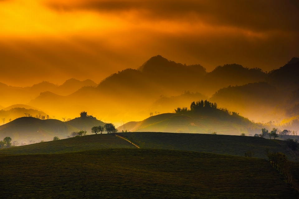 Paysage nature horizon montagne