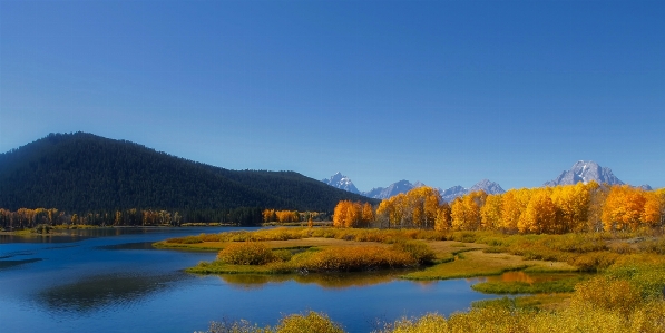 Landscape tree water nature Photo