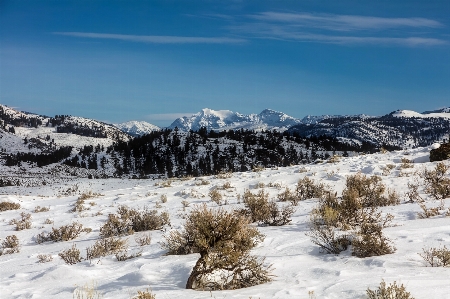 Landscape nature forest wilderness Photo