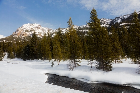 Landscape tree water nature Photo