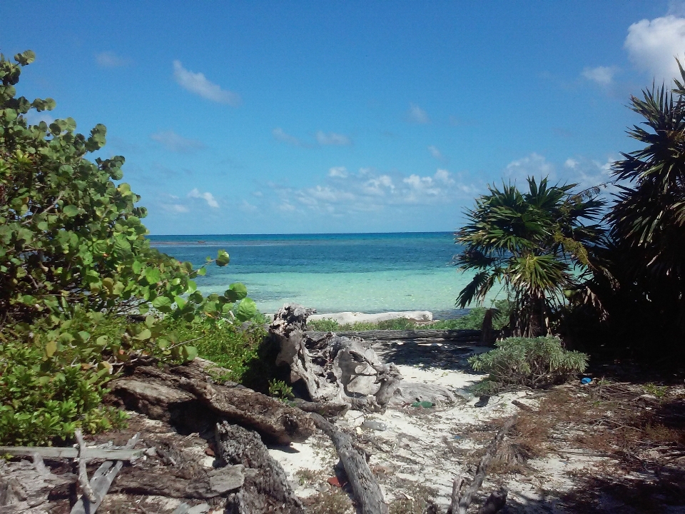 Beach landscape sea coast