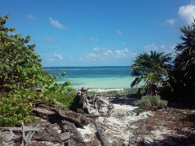 Beach landscape sea coast Photo