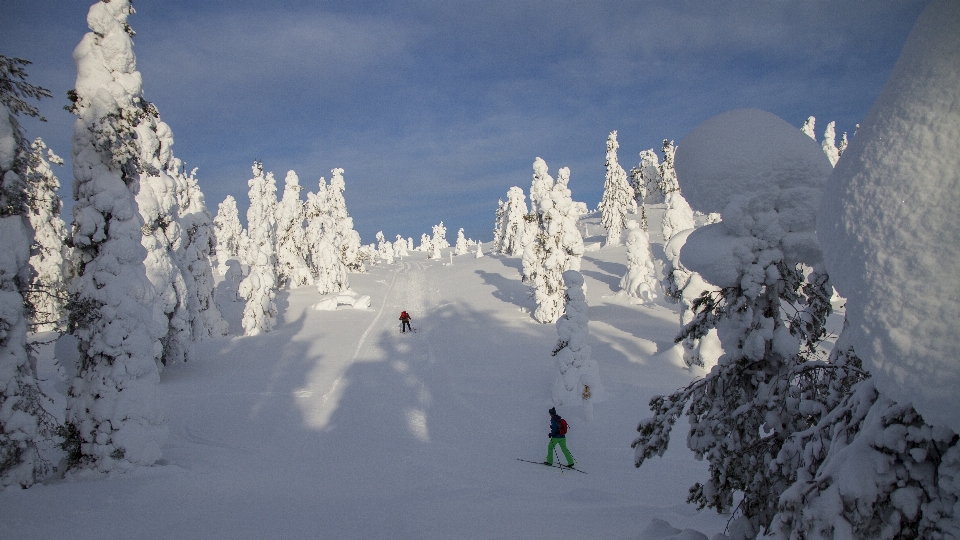 Montagna nevicare freddo inverno