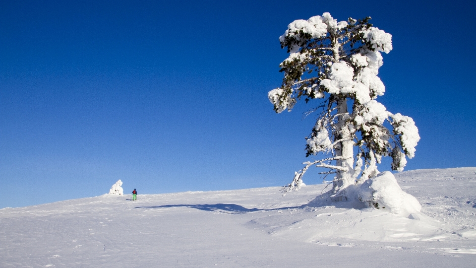 Montagna nevicare freddo inverno