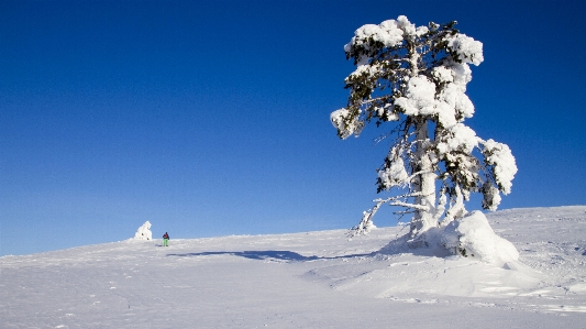 Mountain snow cold winter Photo