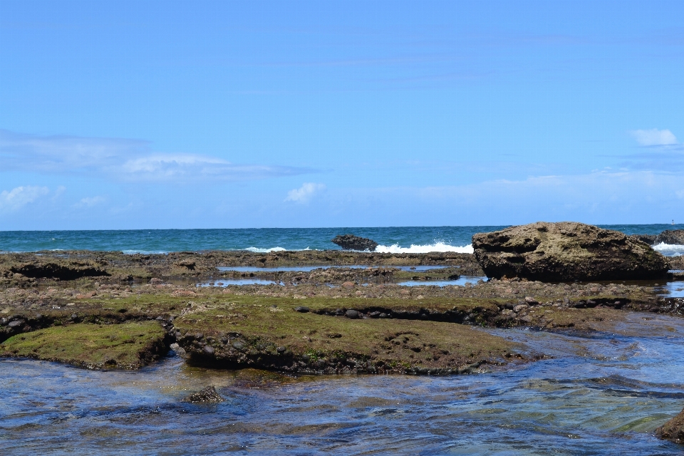 海滩 海 海岸 rock