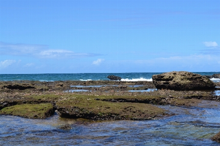 Beach sea coast rock Photo