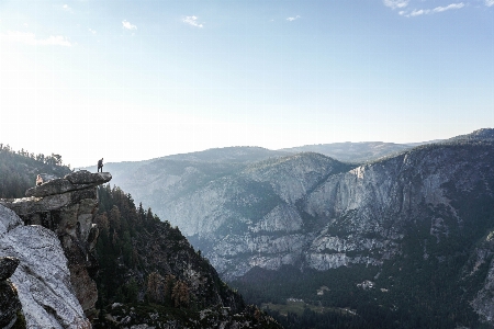 Foto Albero natura selvaggia
 a piedi montagna