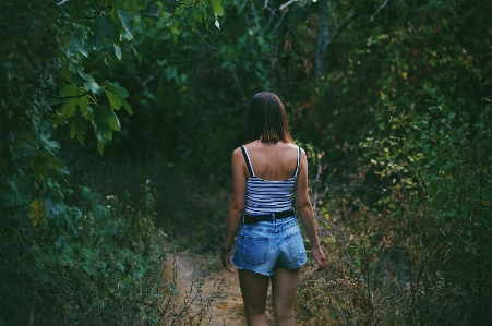 Tree nature forest path Photo