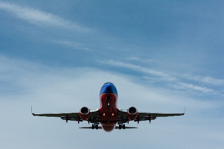 Wing sky fly airplane Photo