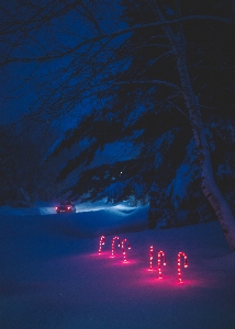 Foto Neve inverno luz céu