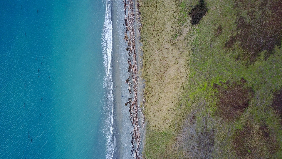 海 海岸 水 沙