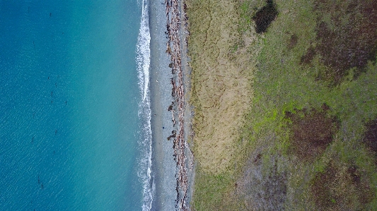 Sea coast water sand Photo