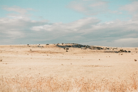 Landscape sand horizon field Photo