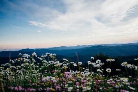 Photo Horizon montagne ciel champ