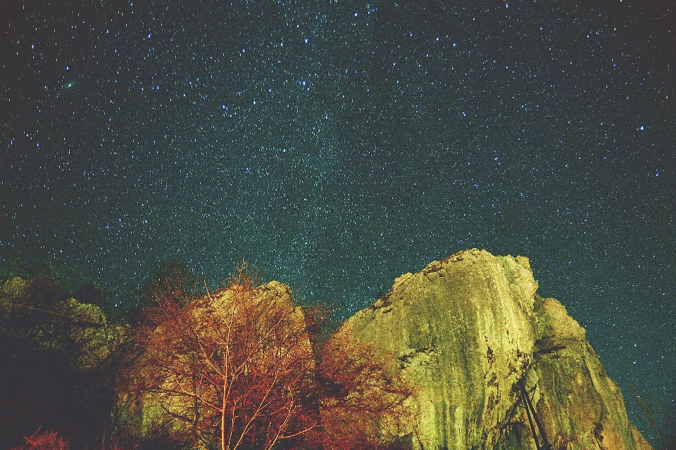 árvore rock céu noite