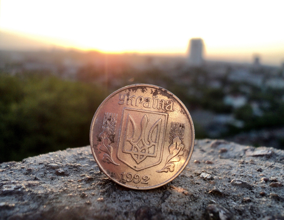 写真撮影 お金 閉じる
 コイン