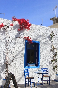 Snow winter house flower Photo