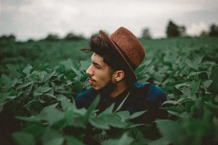 Man nature grass plant Photo