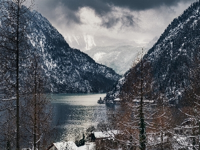 Landschaft baum natur wildnis
 Foto