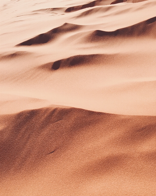 Paysage sable désert dune
