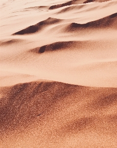 Landscape sand desert dune Photo