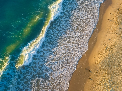 海 海岸 水 砂 写真