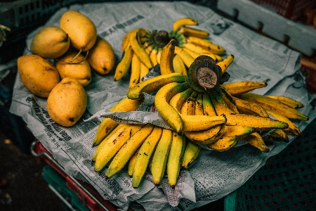 Bitki meyve yaprak çiçek Fotoğraf