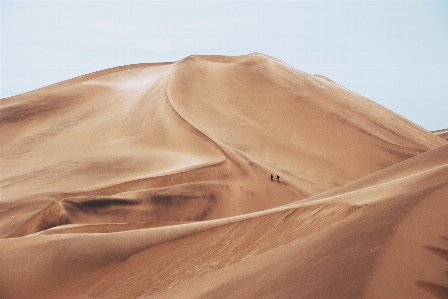 Landscape sand wood arid Photo