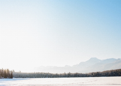 Forest horizon mountain snow Photo