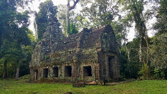 Landscape nature forest building Photo