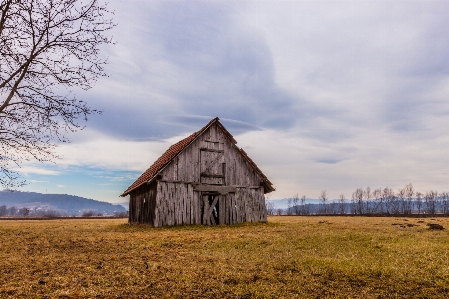 Landscape tree mountain sky Photo