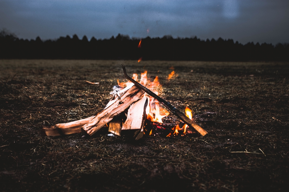 Evening fire campfire