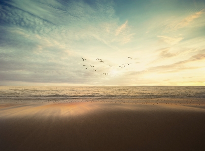 Foto Spiaggia mare costa sabbia