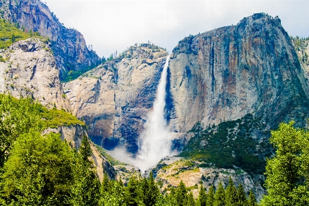 Landscape water nature forest Photo