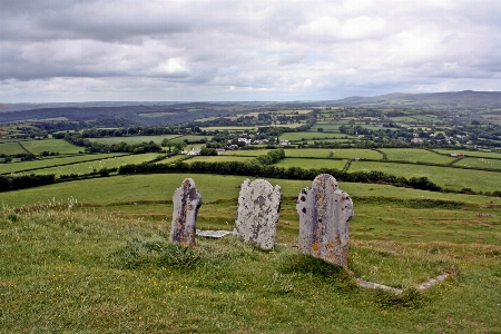 Landscape grass mountain field Photo