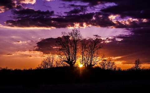 Landscape tree nature horizon Photo