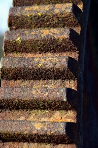 Structure wood technology texture Photo