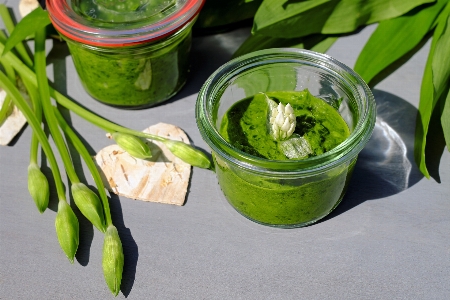 Plant flower dish food Photo