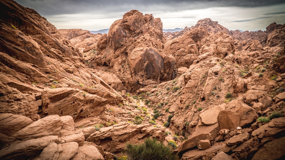 Landscape nature sand rock