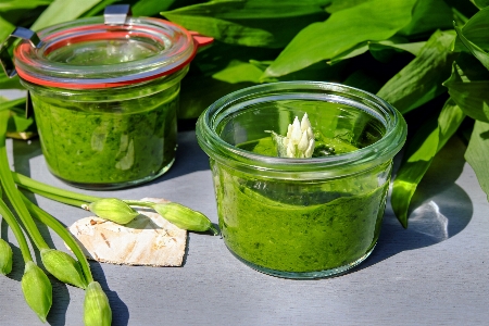 Plant dish food green Photo