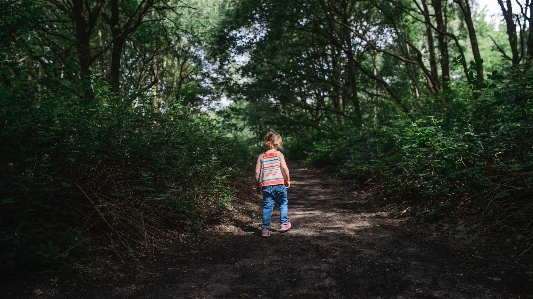 Tree forest walking girl Photo