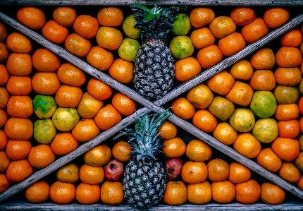 Foto Tanaman buah oranye makanan