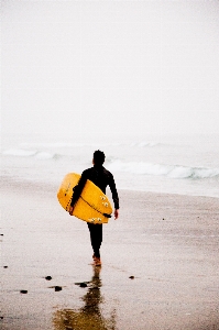 Beach sea coast water Photo