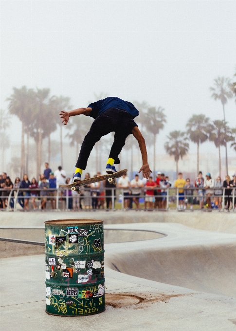 Skateboard rekreasi olahraga ekstrim
 peralatan olahraga
