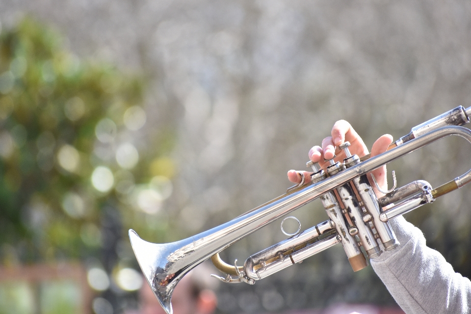 Instrument muzyczny trąbka gitara basowa
 dęty
