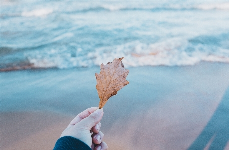 Hand beach sea coast Photo