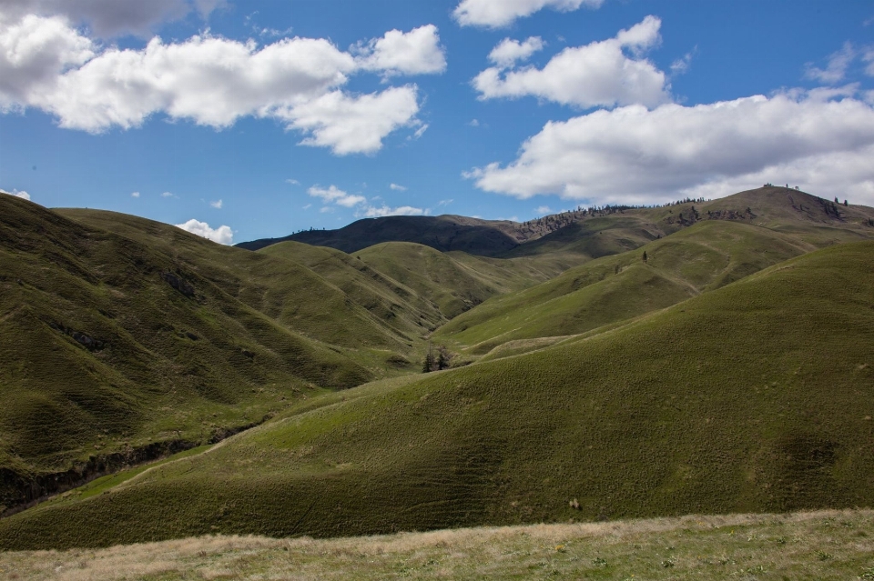 Paisagem natureza grama montanha